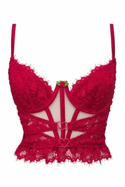 Rosa Lace Bustier -underwear Sales 2023 2022.08.30.ForLove Lemons16817
