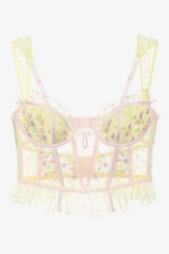 Buttercup Bunches Bustier -underwear Sales 2023 2023.01.30.ForLoveAndLemons28957 scaled